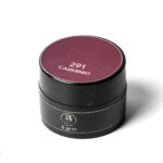 GEL COLOR - CARMINIO 291